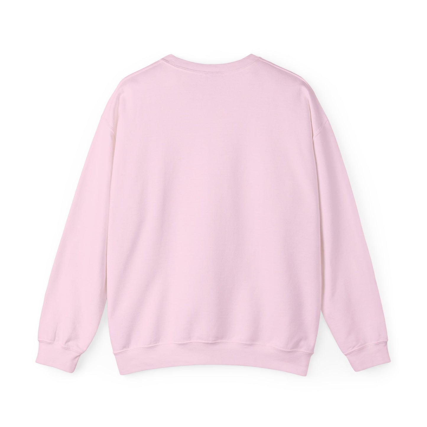 Tardy Bird Sweater