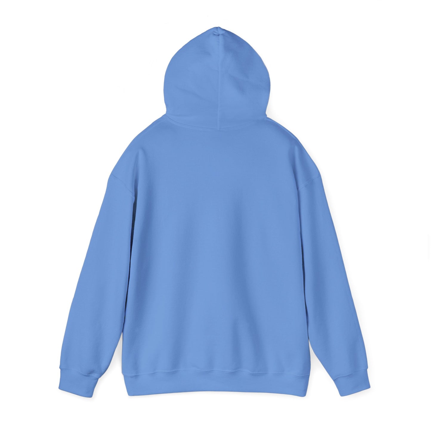 Fluoxetine Dreams Hoodie