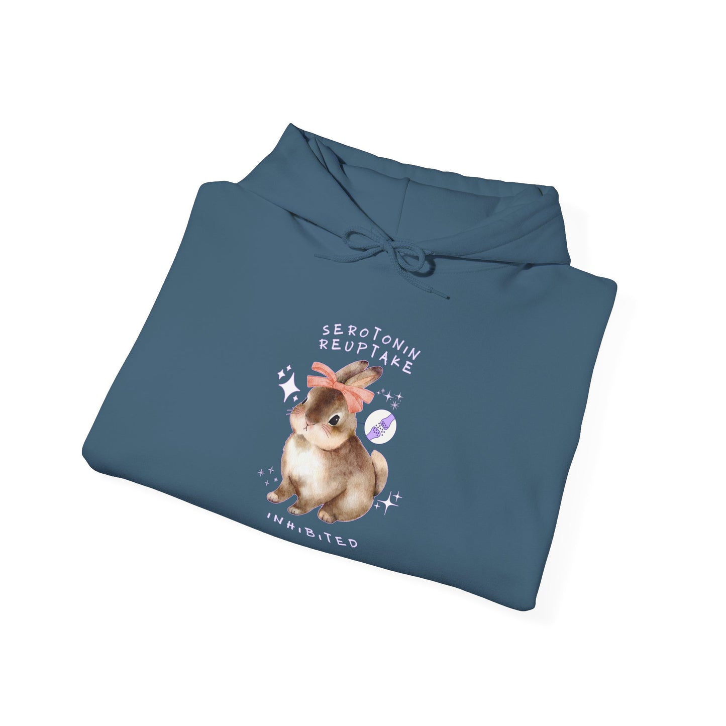 Serotonin Reuptake = Inhibited Hoodie